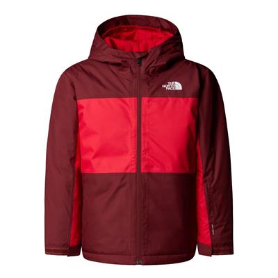 The North Face B Freedom İzolasyonlu Genç Çocuk Ceket NF0A88TZDI91