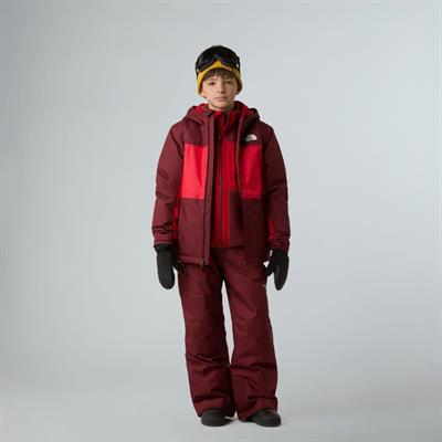 The North Face B Freedom İzolasyonlu Genç Çocuk Ceket NF0A88TZDI91