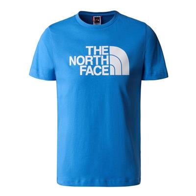 The North Face Easy Erkek Çocuk Tişörtü NF0A82GHLV61