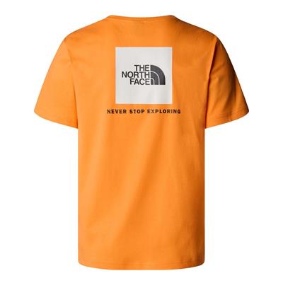 The North Face Erkek BOX NSE Tişört  NF0A87NPAQE1