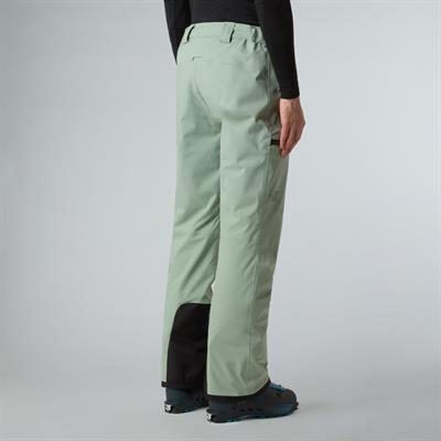 The North Face Erkek Chakal Pantolon NF0A87Y7BQ11