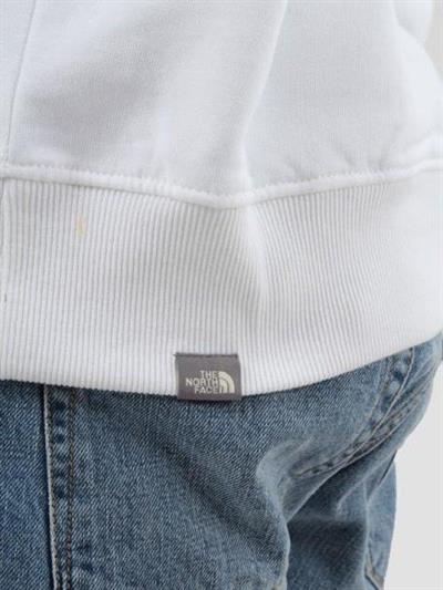 The North Face Erkek Drew Peak Pullover Hoodie T0AHJYLA9