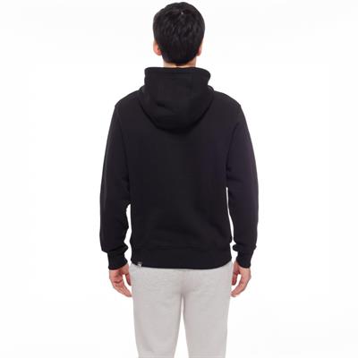 The North Face Erkek Drew Peak Pullover Hoodie T0AHJYKX7