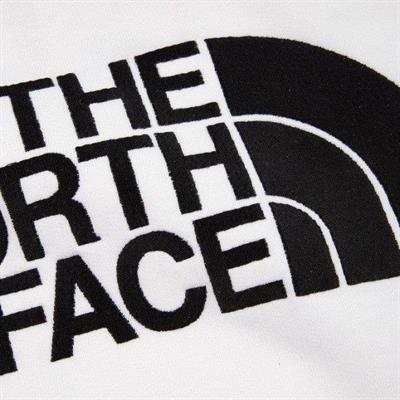 The North Face Erkek Drew Peak Pullover Hoodie T0AHJYLA9