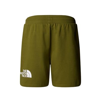 The North Face Erkek EASY REGULAR Şort NF0A8C2SPIB1