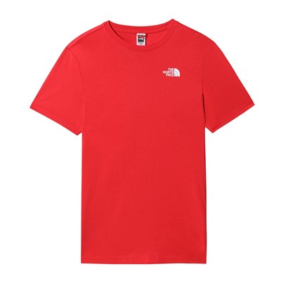 The North Face Erkek  REDBOX CELEBRATION Tişört - EU NF0A2ZXEV331