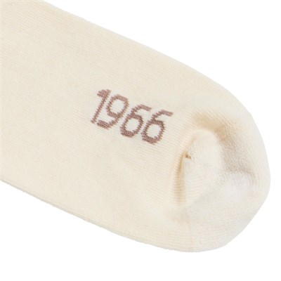 The North Face EVERYDAY CREW HERITAGE STRIPE SOCK -2P Unisex Çorap NF0A8EGNZ431