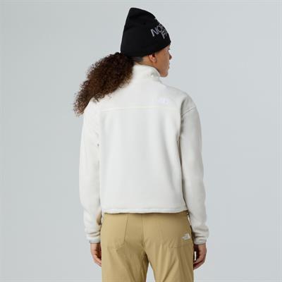 The North Face Kadın Glacier 1/2 Fermuarlı Kısa Polar NF0A8D2CQLI1