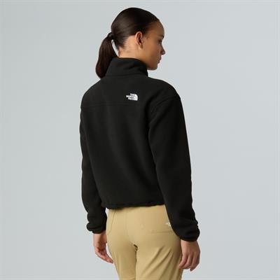 The North Face Kadın Glacier 1/2 Fermuarlı Kısa Polar NF0A8D2CJK31