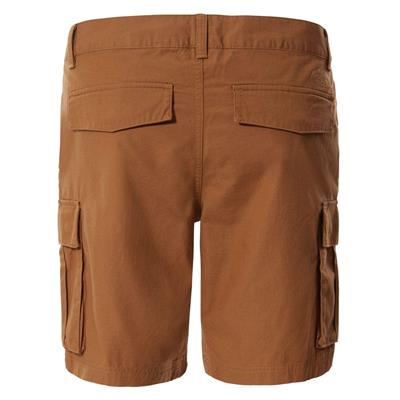 The North Face M ANTICLINE CARGO SHORT - EU Erkek Şort NF0A55B61731
