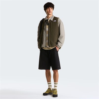 The North Face M BAGGY BETA SHORTS Erkek Sportif Şort NF0A8G0AJK31