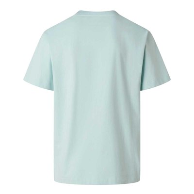 The North Face M ESSENTIAL CENTER LOGO RELAXED SHORT SL Erkek Tişört NF0A8GQEG701