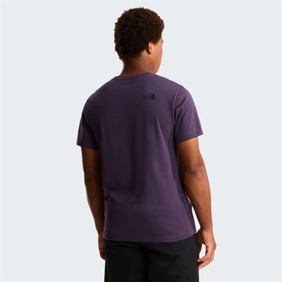 The North Face M EVOLUTION BOX HALF DOME REGULAR SHORT Erkek Tişört NF0A8G9CG5O1