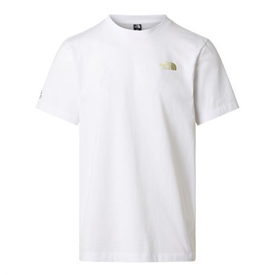 The North Face M MA GRAPHIC REGULAR SHORT SLEEVE TEE-GR Erkek Tişört NF0A8GA4FN41