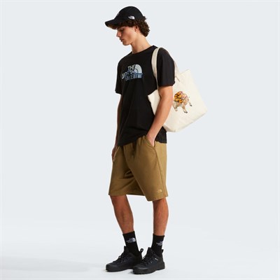 The North Face M MOUNTAIN LINE REGULAR SHORT SLEEVE TEE Erkek Tişört NF0A8GUXJK31