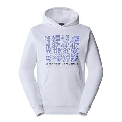 The North Face M SS24 COORDINATES HOODIE Erkek Sweat Shirt NF0A87EAFN41