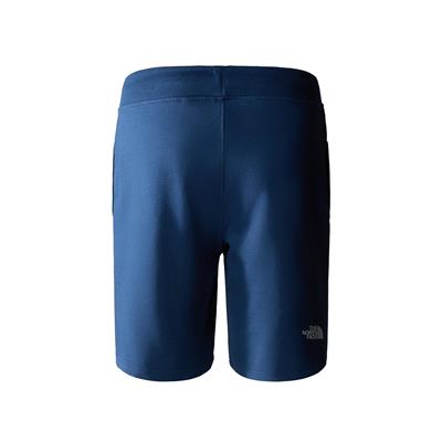 The North Face M STANDARD SHORT LIGHT-EU Erkek Şort NF0A3S4EHDC1
