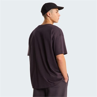 The North Face M TNF Red Box S/S Tee Erkek Tişört NF0A8EG50SA1