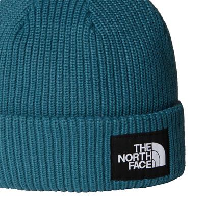 The North Face SALTY LINED BEANIE Unisex Bere NF0A8CGZBQ51