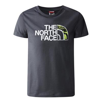 The North Face Easy Erkek Çocuk Tişörtü NF0A82GH0C51