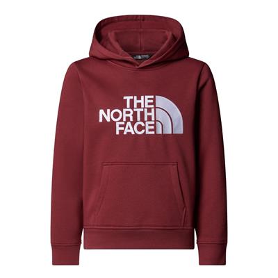 The North Face TEEN DREW PEAK PULLOVER HOODIE Genç Çocuk Sweatshirt NF0A8EHH0VO1