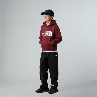 The North Face TEEN DREW PEAK PULLOVER HOODIE Genç Çocuk Sweatshirt NF0A8EHH0VO1