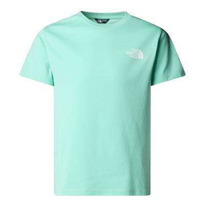 The North Face Tişört N SIMPLE DOME Tişört  NF0A8DRP6EI1