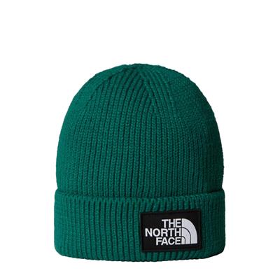 The North Face TNF Logo Box Cuffed Unisex Bere NF0A8CHENL11