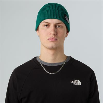 The North Face TNF Logo Box Cuffed Unisex Bere NF0A8CHENL11
