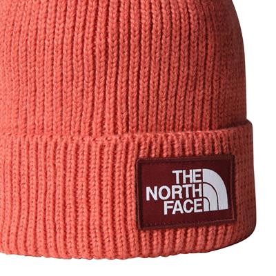 The North Face TNF Logo Box Cuffed Unisex Bere NF0A8CHEEED1