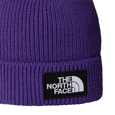 The North Face TNF Logo Box Cuffed Unisex Bere NF0A8CHENL41