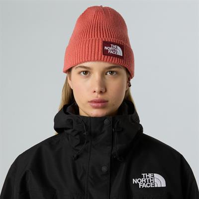The North Face TNF Logo Box Cuffed Unisex Bere NF0A8CHEEED1