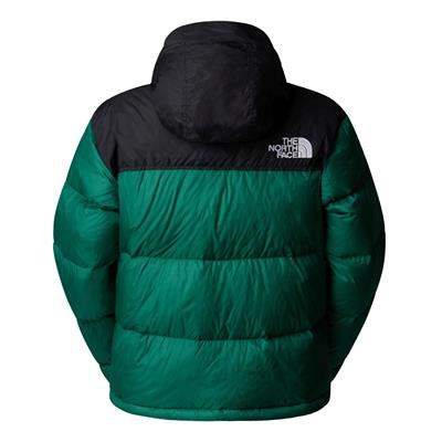 The North Face W 1996 RETRO NUPTSE JACKET Kadın Ceket NF0A3XEONL11