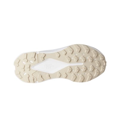 The North Face W ALTAMESA 300 V2 Kadın Ayakkabısı NF0A8G6CIHY1