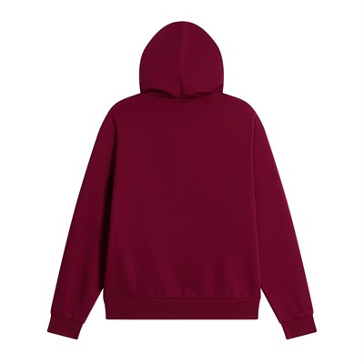 The North Face W EVOLUTION SIMPLE DOME REGULAR HOODIE Kadın Sweatshirt NF0A8CWNMVO1