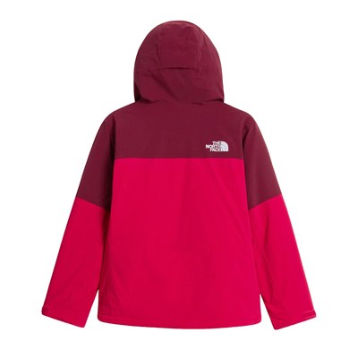 The North Face W FREEDOM INSULATED JACKET Kadın Ceket NF0A8H2PS691