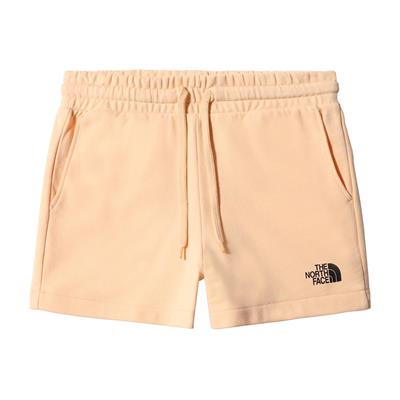 The North Face W LOGOWEAR SHORT Kadın Şort NF0A7QZX3R81