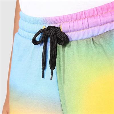 The North Face W LOGOWEAR SHORT Kadın Şort NF0A7QZXIAX1