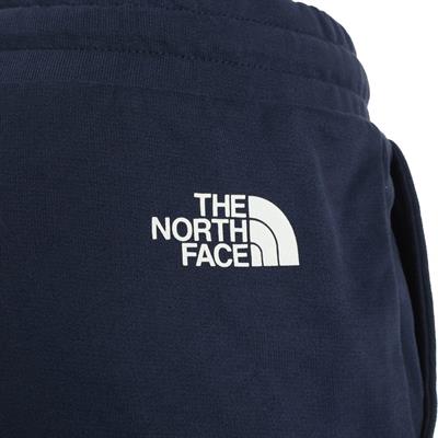 The North Face W LOGOWEAR SHORT Kadın Şort NF0A7QZX8K21