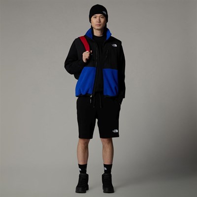 The Northface Erkek GRAPHIC Şort LIGHT-EU NF0A3S4FJK31