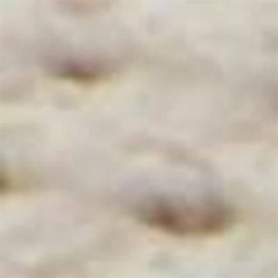 Timberland GreenStride Motion 6 LOW LACE UP HIKING Erkek Ayakkabı TB0A6DHPEO41