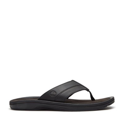Timberland Timberland Originals SLIDE SANDAL Erkek Ayakkabısı TB0A2R4EENR1