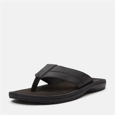 Timberland Timberland Originals SLIDE SANDAL Erkek Ayakkabısı TB0A2R4EENR1