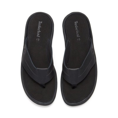 Timberland Timberland Originals SLIDE SANDAL Erkek Ayakkabısı TB0A2R4EENR1