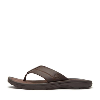 Timberland Originals SLIDE SANDAL Erkek Terlik TB0A2R4EEWI1