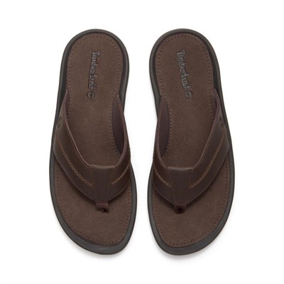 Timberland Originals SLIDE SANDAL Erkek Terlik TB0A2R4EEWI1