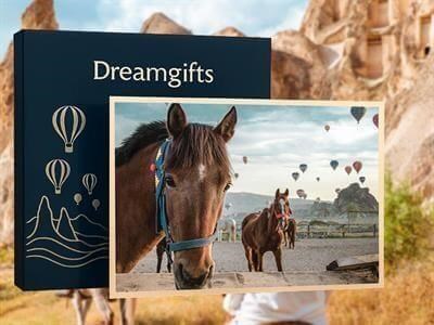Cappadocia Horse Riding Tour – Explore Valleys & Fairy Chimneys on Horseback