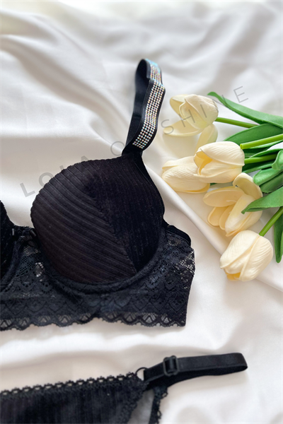 Daphne Koleksiyonu – Dantel ve Taş  Detaylı Siyah  Bralet & Külot Seti 