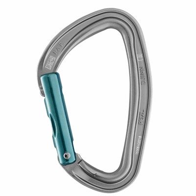 PETZL DJINN Alüminyum Karabina