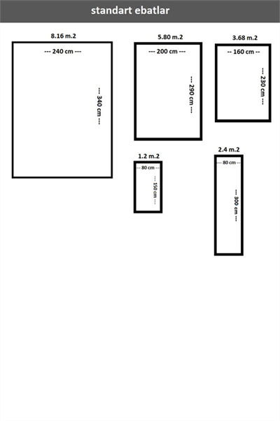 VEGA YUMUŞAK YÜZEY ÖZEL AKRİLİK HALI VEG 3305